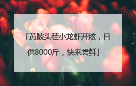 黄陂头茬小龙虾开炫，日供8000斤，快来尝鲜