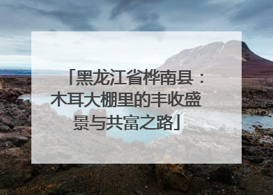 黑龙江省桦南县：木耳大棚里的丰收盛景与共富之路