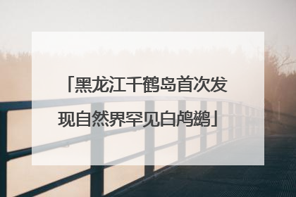 黑龙江千鹤岛首次发现自然界罕见白鸬鹚