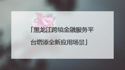 黑龙江跨境金融服务平台增添全新应用场景