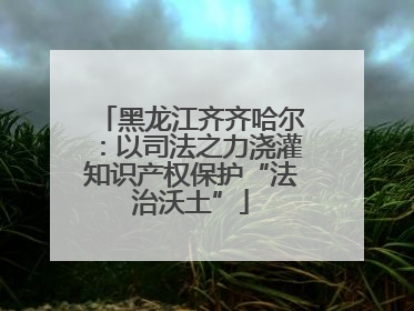 黑龙江齐齐哈尔：以司法之力浇灌知识产权保护“法治沃土”