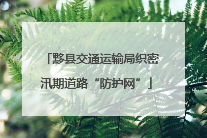 黟县交通运输局织密汛期道路“防护网”