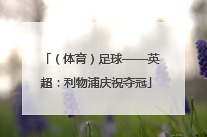 （体育）足球——英超：利物浦庆祝夺冠