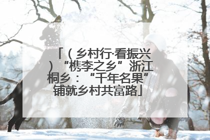 （乡村行·看振兴）“槜李之乡”浙江桐乡：“千年名果”铺就乡村共富路