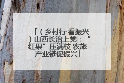 （乡村行·看振兴）山西长治上党：“红果”压满枝 农旅产业链促振兴