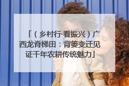 （乡村行·看振兴）广西龙脊梯田：背篓变迁见证千年农耕传统魅力