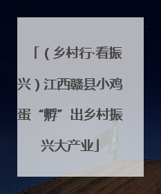 （乡村行·看振兴）江西赣县小鸡蛋“孵”出乡村振兴大产业