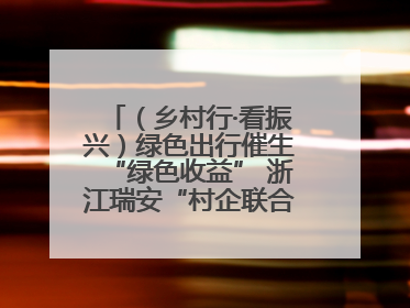 （乡村行·看振兴）绿色出行催生“绿色收益” 浙江瑞安“村企联合体”促共富