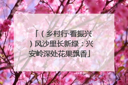 （乡村行·看振兴）风沙里长新绿：兴安岭深处花果飘香