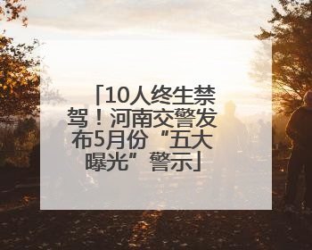 10人终生禁驾！河南交警发布5月份“五大曝光”警示