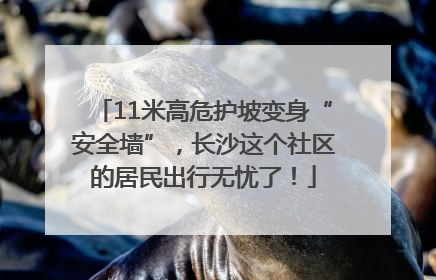 11米高危护坡变身“安全墙”，长沙这个社区的居民出行无忧了！