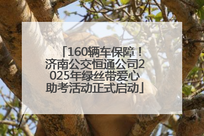 160辆车保障！济南公交恒通公司2025年绿丝带爱心助考活动正式启动