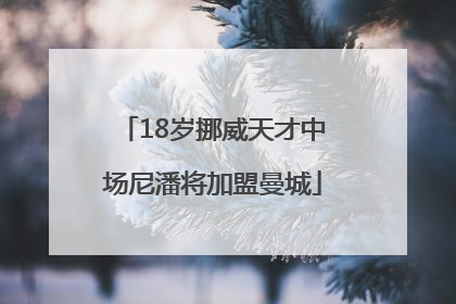 18岁挪威天才中场尼潘将加盟曼城