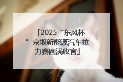 2025“东风杯”京堰新能源汽车拉力赛圆满收官