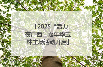 2025“活力夜广西”嘉年华玉林主场活动开启