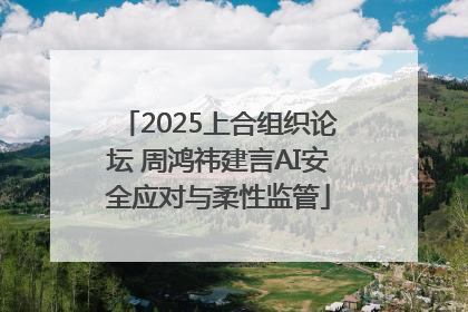 2025上合组织论坛 周鸿祎建言AI安全应对与柔性监管