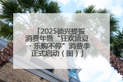 2025德兴提振消费年暨“狂欢盛夏・乐购不停”消费季正式启动（图）