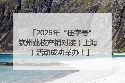 2025年“桂字号”钦州荔枝产销对接（上海）活动成功举办！