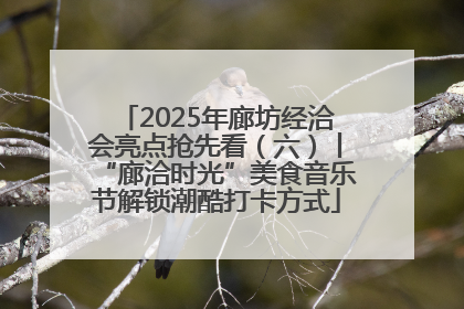 2025年廊坊经洽会亮点抢先看（六）丨“廊洽时光”美食音乐节解锁潮酷打卡方式