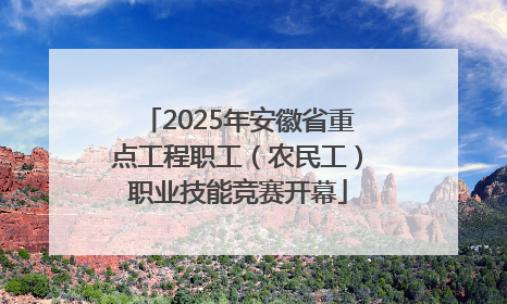 2025年安徽省重点工程职工（农民工）职业技能竞赛开幕