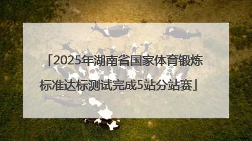 2025年湖南省国家体育锻炼标准达标测试完成5站分站赛