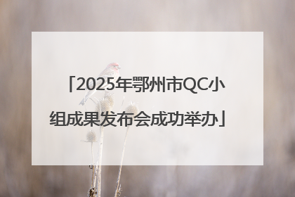 2025年鄂州市QC小组成果发布会成功举办