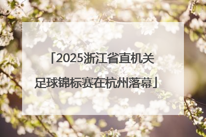 2025浙江省直机关足球锦标赛在杭州落幕