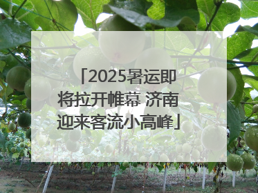 2025暑运即将拉开帷幕 济南迎来客流小高峰