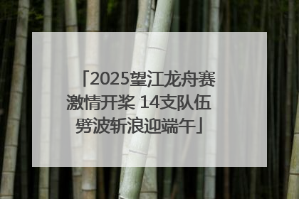 2025望江龙舟赛激情开桨 14支队伍劈波斩浪迎端午
