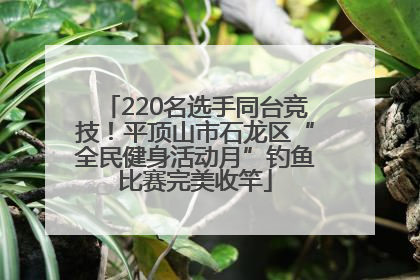 220名选手同台竞技！平顶山市石龙区“全民健身活动月”钓鱼比赛完美收竿
