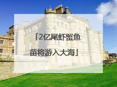 2亿尾虾蟹鱼苗将游入大海