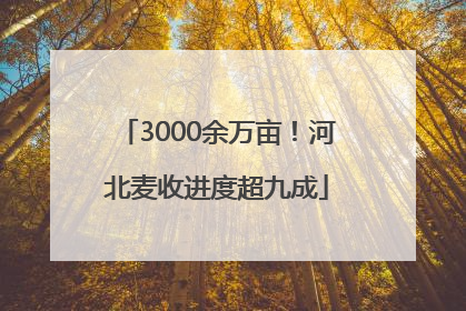3000余万亩！河北麦收进度超九成