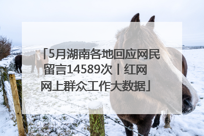 5月湖南各地回应网民留言14589次丨红网网上群众工作大数据