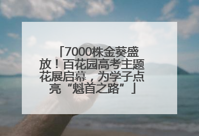 7000株金葵盛放！百花园高考主题花展启幕，为学子点亮“魁首之路”