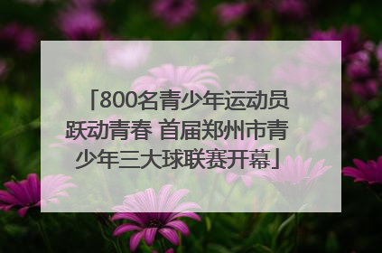 800名青少年运动员跃动青春 首届郑州市青少年三大球联赛开幕