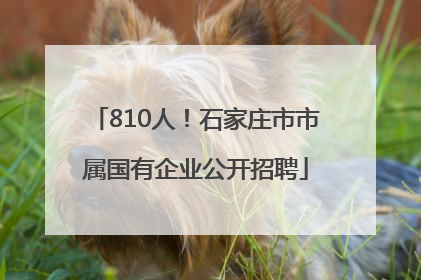 810人！石家庄市市属国有企业公开招聘