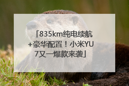 835km纯电续航+豪华配置！小米YU7又一爆款来袭