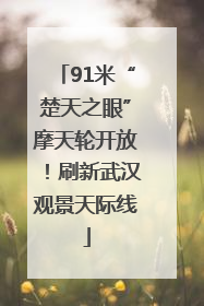 91米“楚天之眼”摩天轮开放！刷新武汉观景天际线