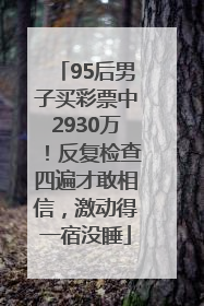 95后男子买彩票中2930万！反复检查四遍才敢相信，激动得一宿没睡