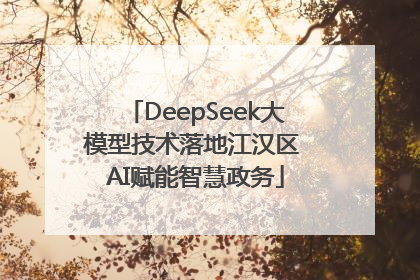 DeepSeek大模型技术落地江汉区 AI赋能智慧政务