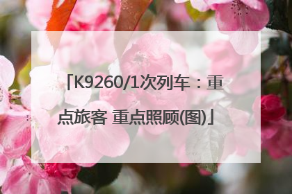 K9260/1次列车：重点旅客 重点照顾(图)