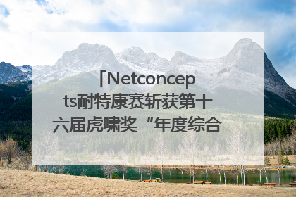 Netconcepts耐特康赛斩获第十六届虎啸奖“年度综合服务商”大奖