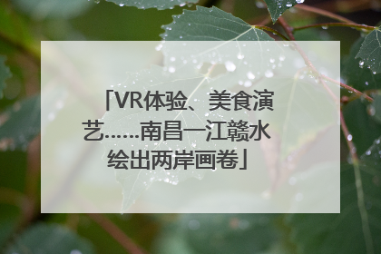 VR体验、美食演艺……南昌一江赣水绘出两岸画卷